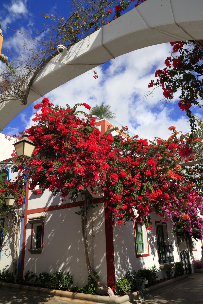 10.29 Gran Canaria  MG 1565